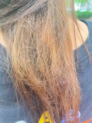 -北京柏丽美容美发