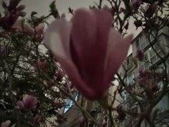 -庭院江南菜•烤鸭•非遗传承(丰台总部基地店)
