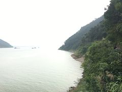 -羚羊峡古栈道森林公园