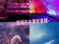-正佳极地海洋世界
