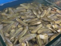 -渔民船说·北塘海鲜·天津菜·海肠捞饭(北塘古镇店)