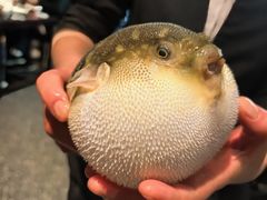 -永安鱼庄·镇江菜(东吴路店)