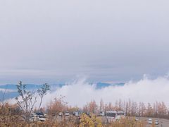 -富士山吉田線五合目
