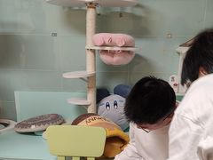 -猫宠乐园·专业洗护