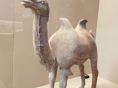 -敦煌市博物馆