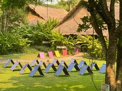 -大象粑粑造纸公园