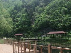 -白河湾生态旅游一条川