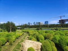 -春花秋色城市公园