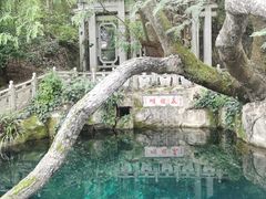-蝴蝶泉公园
