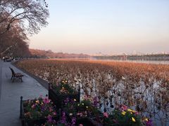 -杭州西湖风景名胜区-北街寻梦