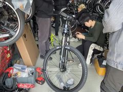 -道路口单车爱瓦士dahon大行