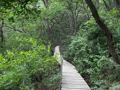 -灵山