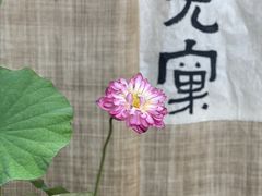-苏州本色美术馆