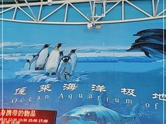 -蓬莱欧乐堡海洋极地世界