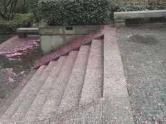 -浙江大学医学院附属第二医院(解放路院区)