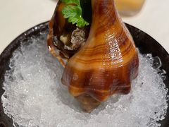 茅台酒渍海螺-黔香阁·味(花木店)