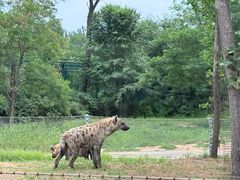 -秦皇岛野生动物园