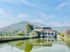 -树山生态村