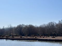 -溱湖国家湿地公园