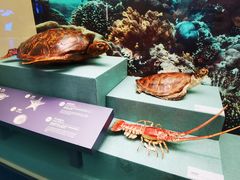 -上海中国航海博物馆