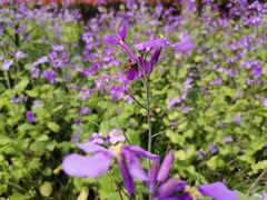 -苏州河梦清园环保主题公园