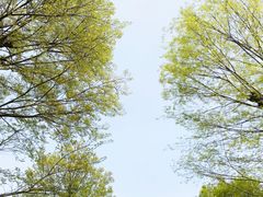 -秀丽东方