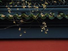 -钱王祠