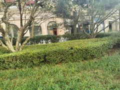 -桔子酒店(青岛五四广场店)