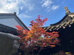 -何园