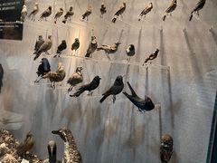 -烟台自然博物馆