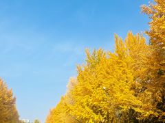 -玲珑塔公园