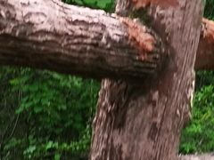 -汉中石门栈道景区