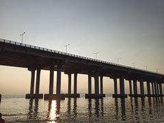 -宝安西湾红树林湿地公园