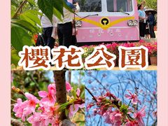 -小南山公园
