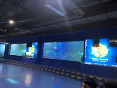 -重庆欢乐海底世界