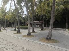 -宝安西湾红树林湿地公园