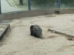 -青藏高原野生动物园