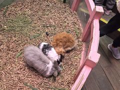 -正佳雨林生态植物园