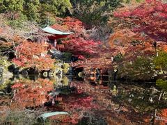 -醍醐寺