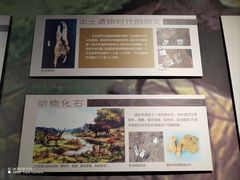 -王府井古人类文化遗址博物馆