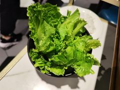 -蚝大仙横琴生蚝火锅(中央汇店)