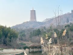 -牛首山文化旅游区