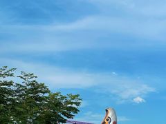 -杭州野生动物世界