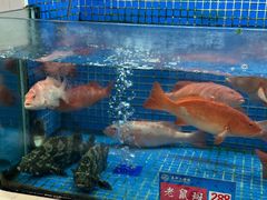 -益利大酒楼(井岸店)