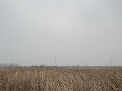 -宁波杭州湾国家湿地公园
