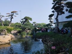 -罗红摄影艺术馆