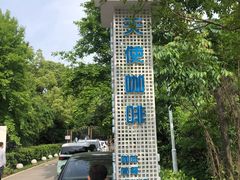 -青龙山国家森林公园