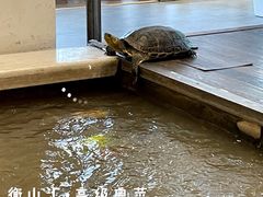 -衡山汇·高级粤菜(霄云路店)