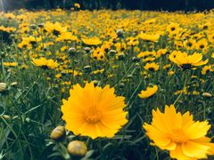 景观位-隹木咖啡馆(宝龙广场店)