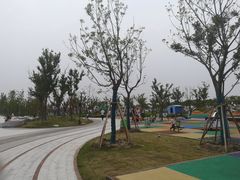 -春花秋色城市公园